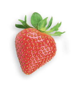 petite-fraise-2024